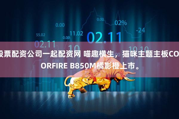 股票配资公司一起配资网 喵趣横生，猫咪主题主板COLORFIRE B850M橘影橙上市。
