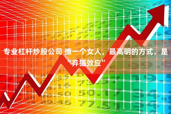 专业杠杆炒股公司 撩一个女人，最高明的方式，是“弃猫效应”